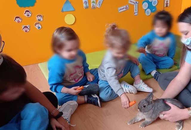 Centro De Educación Infantil Little Stars conejo